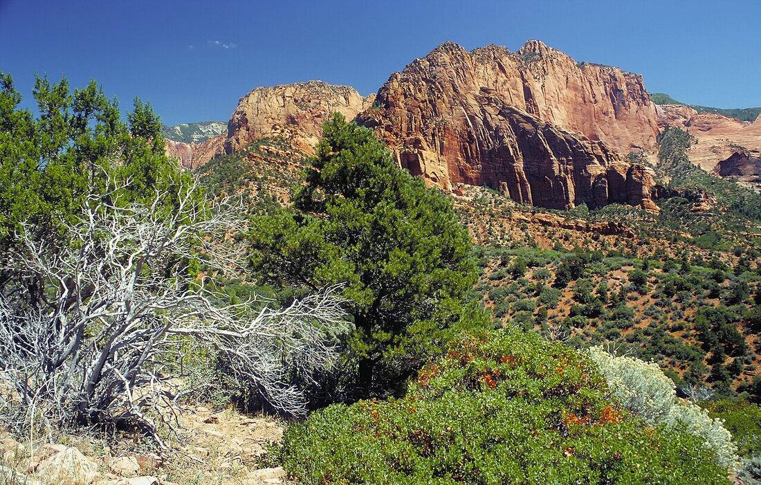Zion kanyonu